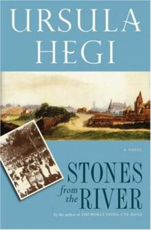 Stones From the River Read online