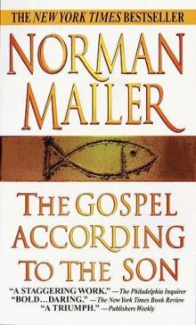 The Gospel According to the Son Read online