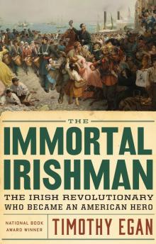 The Immortal Irishman Read online