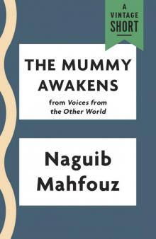 The Mummy Awakens Read online