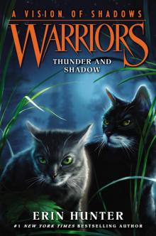 Thunder and Shadow Read online