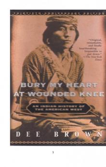 Bury My Heart At Wounded Knee Read online