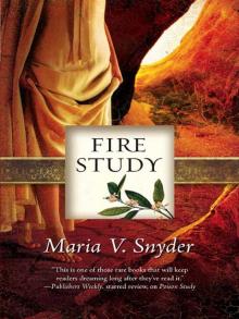 Fire Study Read online