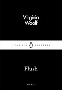 Flush Read online