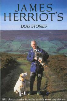 James Herriot's Dog Stories Read online