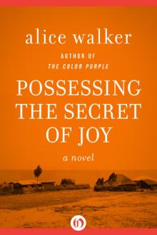 Possessing the Secret of Joy Read online