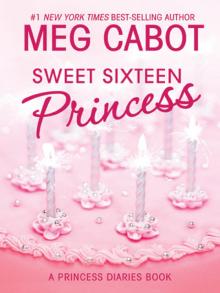 Sweet Sixteen Princess Read online