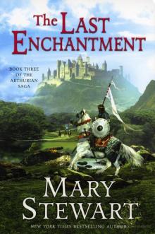 The Last Enchantment Read online