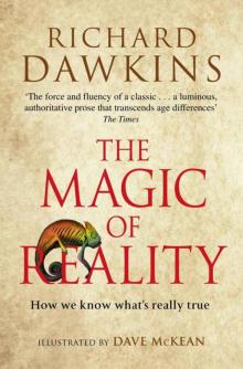 The Magic of Reality Read online