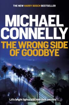 The Wrong Side of Goodbye Read online
