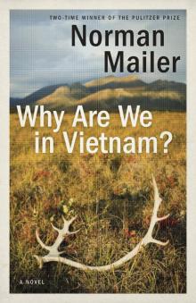 Why Are We in Vietnam? Read online
