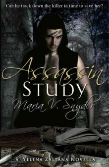 Assassin Study Read online