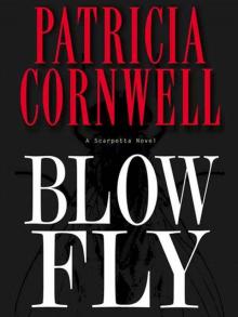 Blow Fly Read online