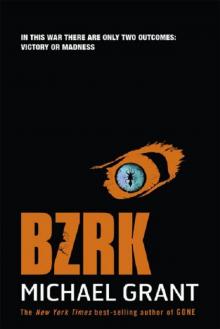 Bzrk Read online