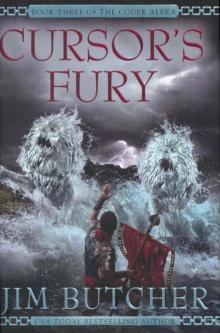 Cursor's Fury Read online