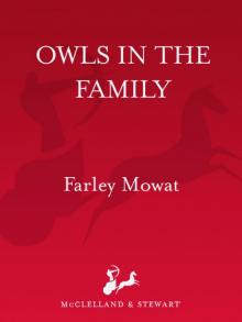 Owls in the Family Read online