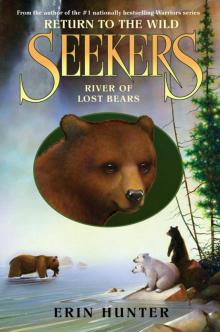 River of Lost Bears Read online