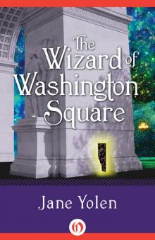 The Wizard of Washington Square Read online