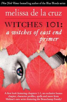 Witches 101: A Witches of East End Primer Read online