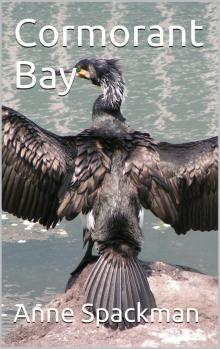 Cormorant Bay Read online
