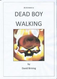 Dead Boy Walking Read online