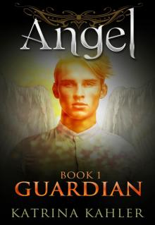 Angel Book 1 - Guardian Read online