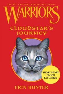 Cloudstar's Journey Read online
