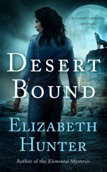 Desert Bound Read online