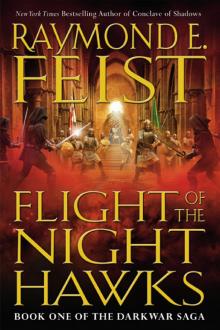 Flight of the Nighthawks Read online