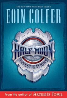 Novel - Half Moon Investigations Read online