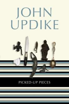 Picked-Up Pieces: Essays Read online