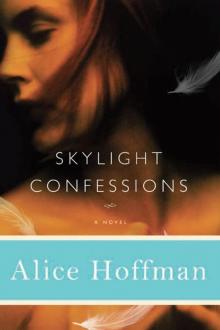 Skylight Confessions Read online