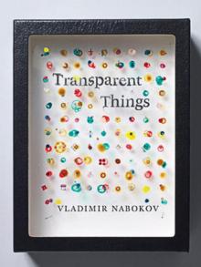 Transparent Things Read online