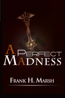 A Perfect Madness Read online