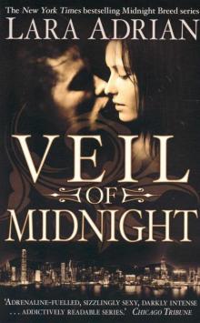 Veil of Midnight Read online