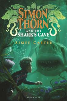 Simon Thorn and the Shark's Cave Read online