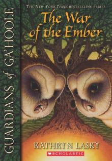 The War of the Ember Read online