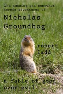 The Amazing and Somewhat Wondrous Adventures of Nicholas Groundhog Read online