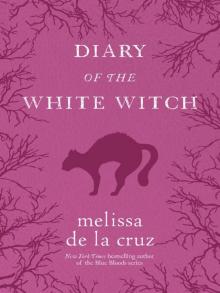 Diary of the White Witch Read online