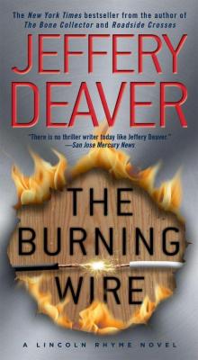 The Burning Wire Read online