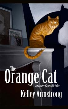 The Orange Cat and Other Cainsville Tales Read online