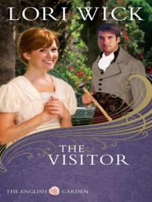 The Visitor Read online