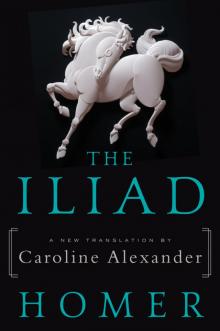 The Iliad (Trans. Caroline Alexander) Read online