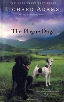 The Plague Dogs Read online