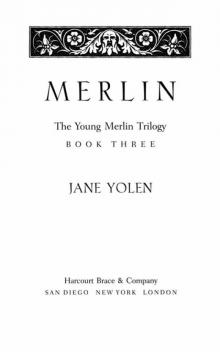 The Young Merlin Trilogy Read online