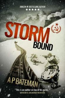 Stormbound Read online