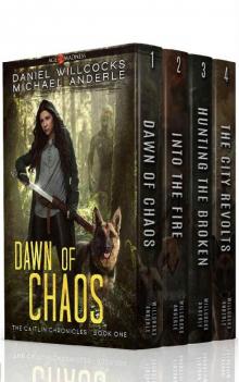 The Caitlin Chronicles Boxed Set Read online