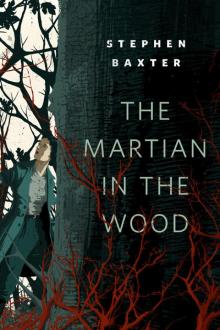The Martian in the Wood Read online