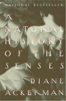 A Natural History of the Senses Read online
