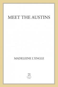Meet the Austins Read online